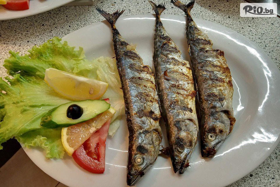 Къща за гости Оазис - thumb 9 Къща за гости Оазис - thumb 9