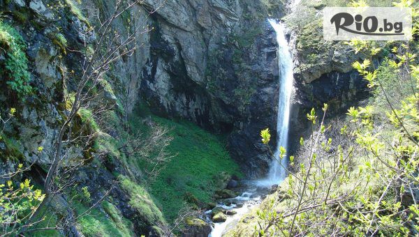 Лионс Травел - thumb 4