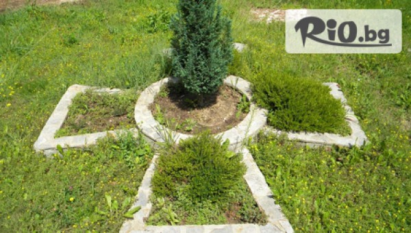 ВИП Турс ЕООД - thumb 3