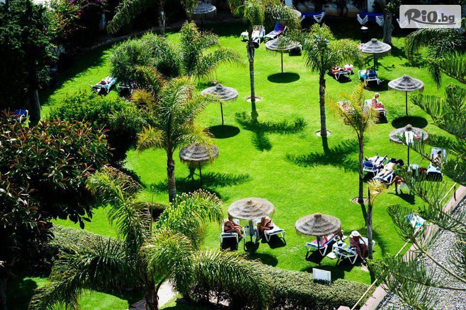 Солвекс - thumb 4 Солвекс - thumb 4