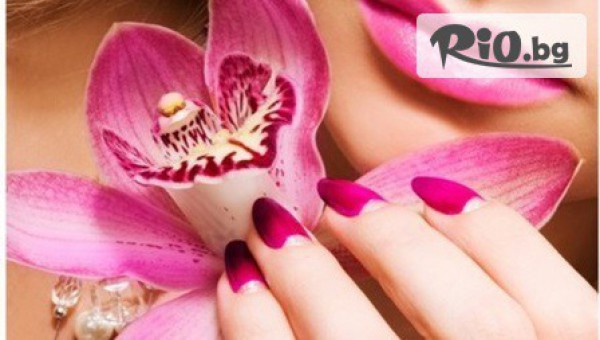 Студио Ивона - thumb 2