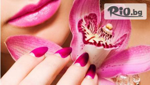 СТУДИО АЛЕКС - thumb 3