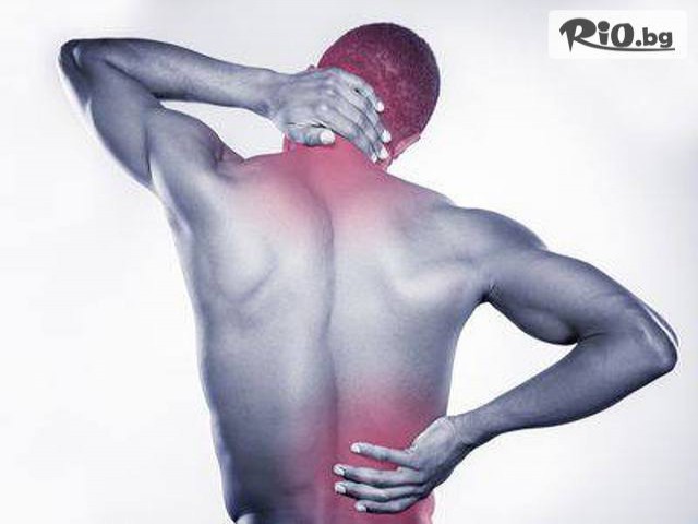 Human Body Masters - thumb 1 Human Body Masters - thumb 1