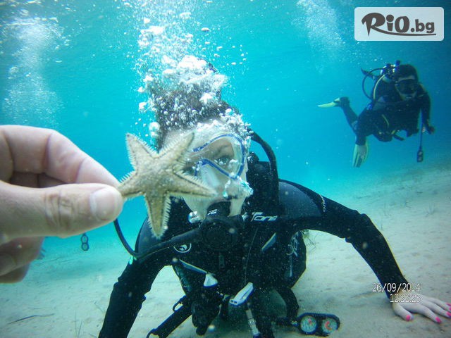 Sub Diving - thumb 1 Sub Diving - thumb 1