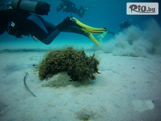 Sub Diving - thumb 4 Sub Diving - thumb 4