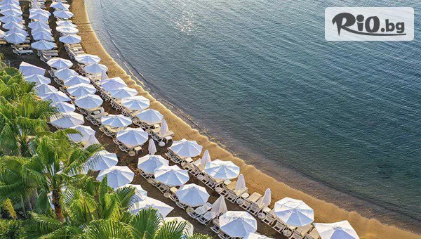 ТА Белпрего Травел - thumb 3