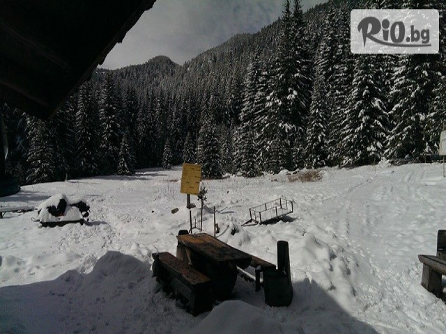 Adventure Net - thumb 4 Adventure Net - thumb 4