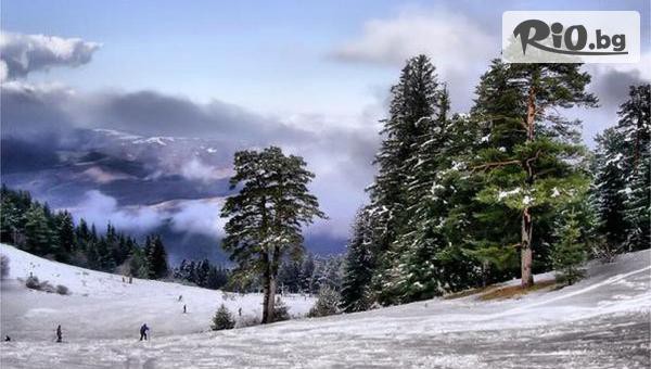 Adventure Net - thumb 2