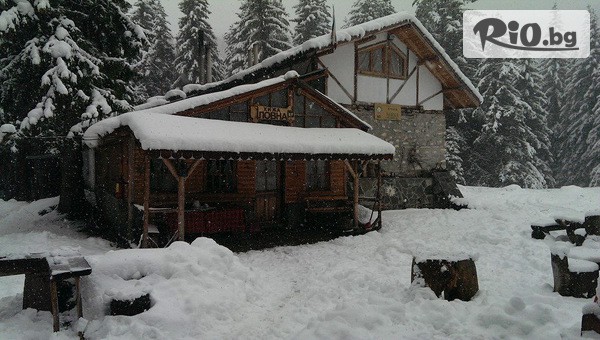 Adventure Net - thumb 3