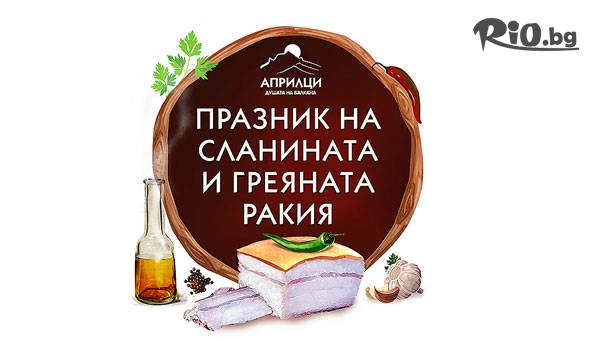 Дениз Травел - thumb 1