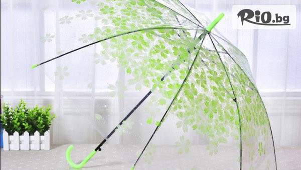 Svito Shop - thumb 2