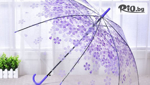 Svito Shop - thumb 4