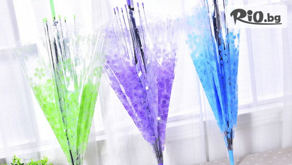 Svito Shop - thumb 5