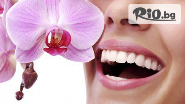 ИППМП-ДМ - Д-р Димо Димов - thumb 2