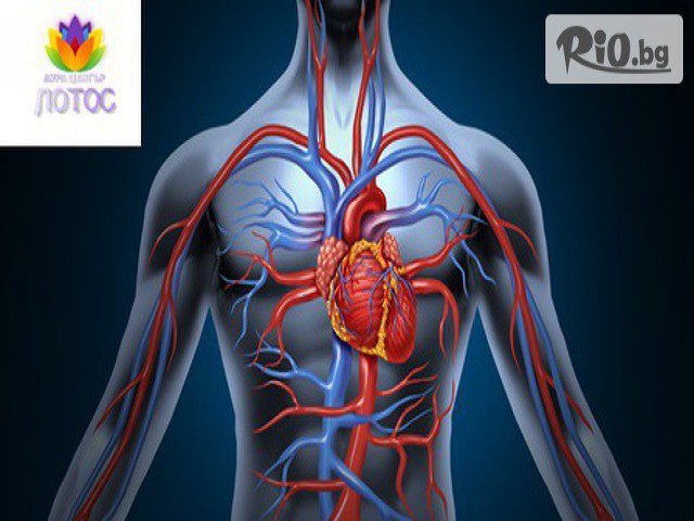 Аура център Лотос - thumb 4 Аура център Лотос - thumb 4