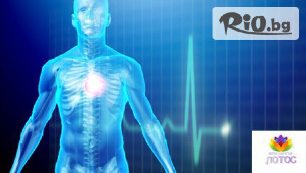Проверката на здравословно състояние на организма с квантов анализатор само за 15лв, от Аура център Лотос