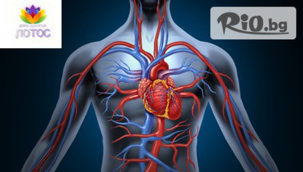 Аура център Лотос - thumb 3