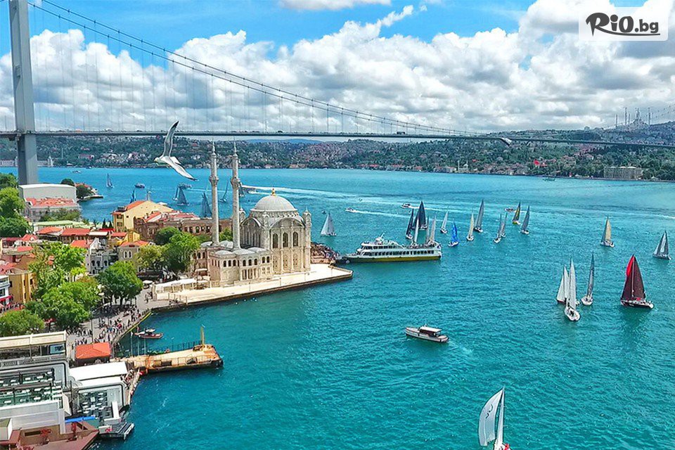 Рикотур - thumb 3