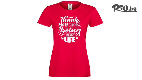 Аликод - thumb 3