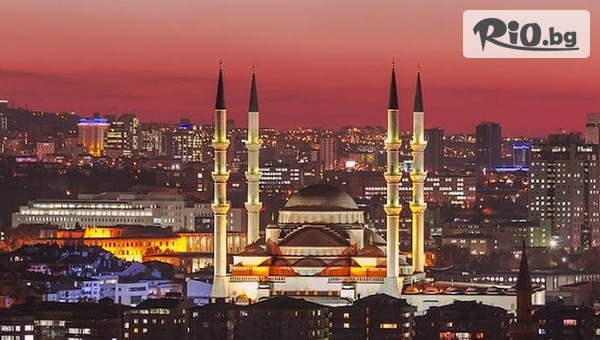 Арива травъл - thumb 9