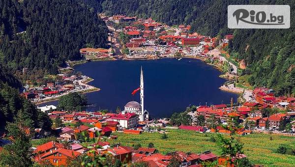 Арива травъл - thumb 3