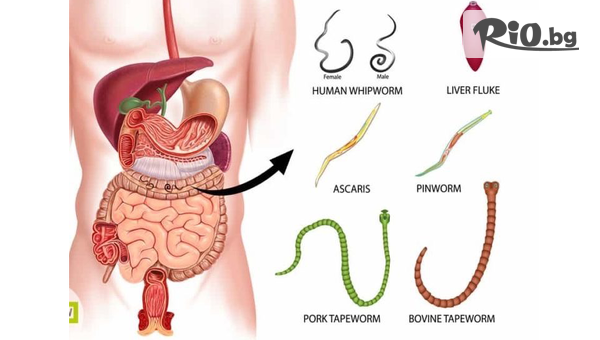 Зона Здраве - thumb 3
