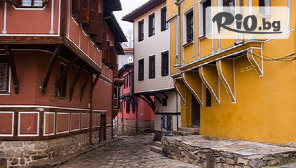 Алестра Тур - thumb 5