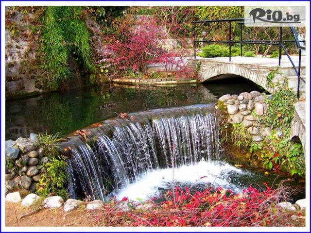 Мери Турс Травел - thumb 30