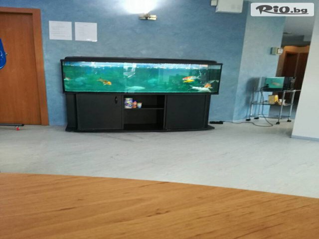 Електронен Доктор - thumb 5