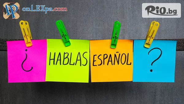 Lex Partners - thumb 2