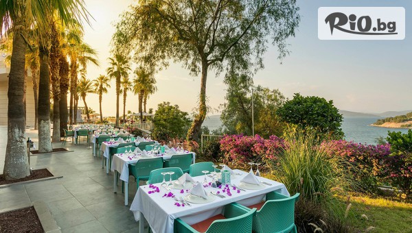 Глобус Холидейс - thumb 5