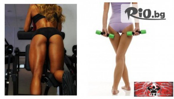 Deymos Gym - thumb 3