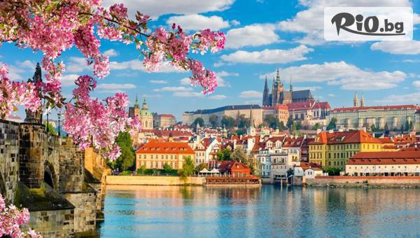 ВИП Турс ЕООД - thumb 7