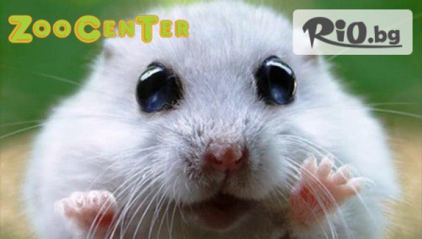 Зоомагазин ZooCenter - thumb 2