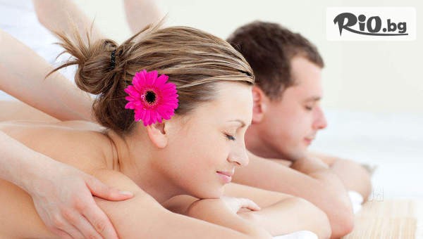 New Body Factory - thumb 2