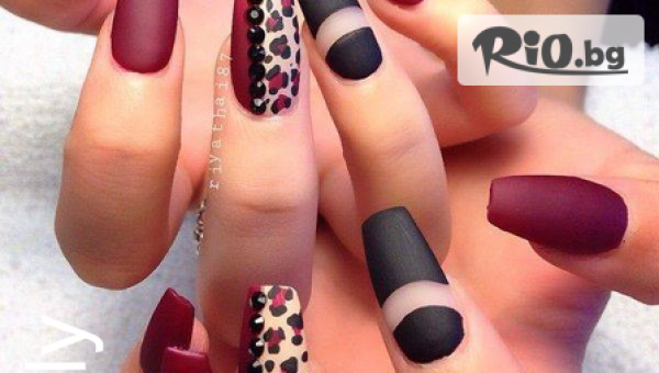 Polly Art Atelie - thumb 3