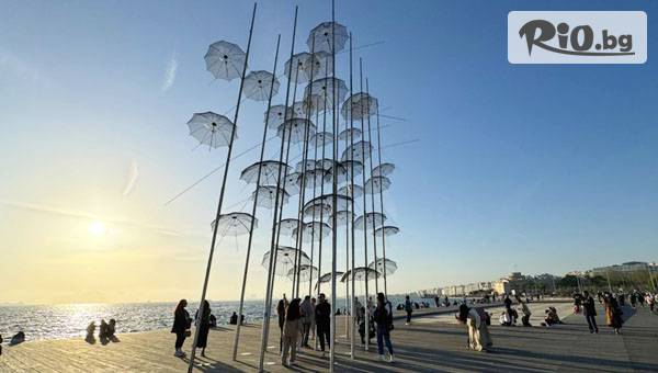 Солвекс - thumb 3