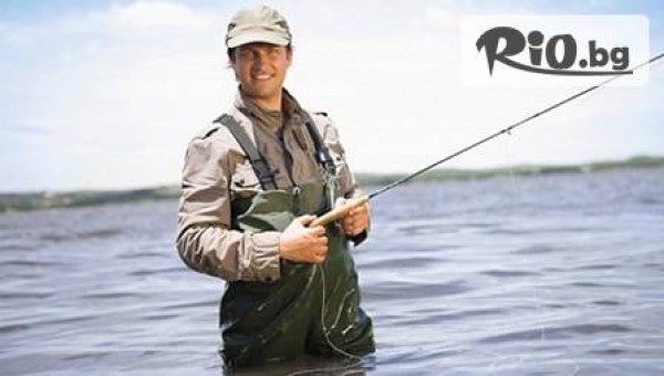 Вита Форте - thumb 3