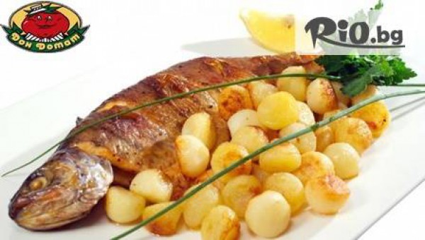 Никулден - Пълнен никулденски шаран с традиционна плънка /3кг./ + 2 литра бира само за 26.80лв, от "Дон Домат" Манастирски ливади