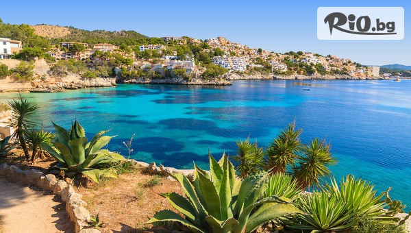 Hotel Globales Mimosa 4*, о-в Майорка #1