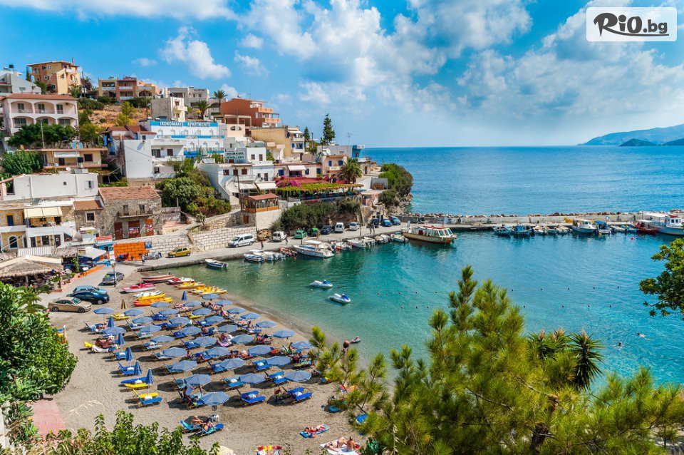 Солвекс - thumb 1 Солвекс - thumb 1