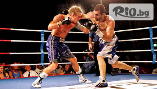 Архолл Арена - thumb 3