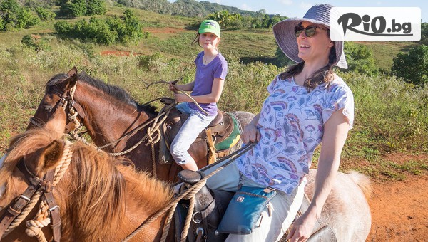 Конна база София - Юг - thumb 3