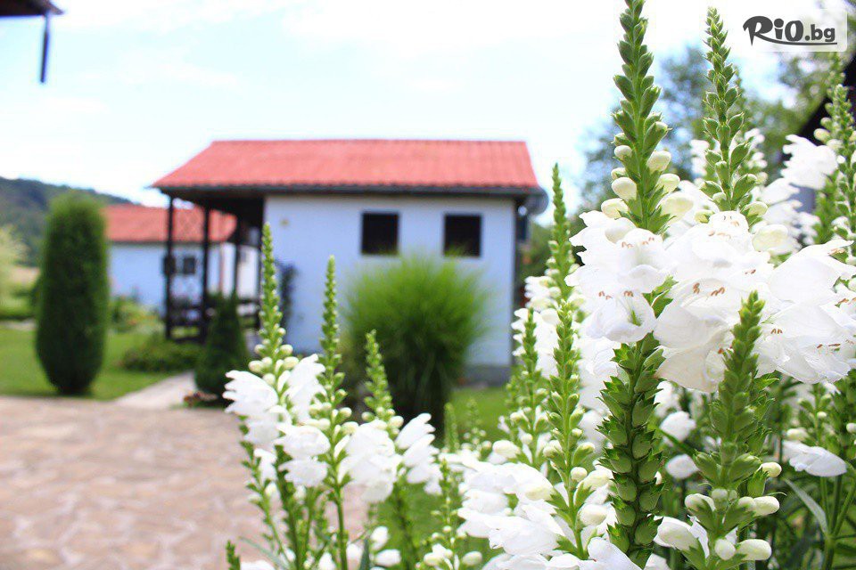 Вилно селище Лъки - thumb 4 Вилно селище Лъки - thumb 4