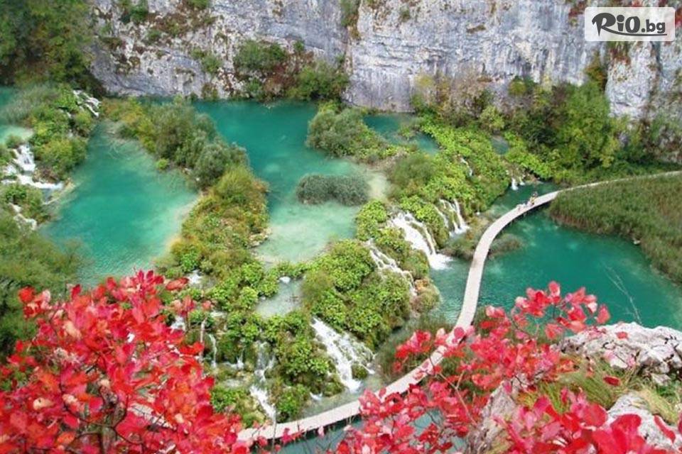 Вени Травел - thumb 3 Вени Травел - thumb 3