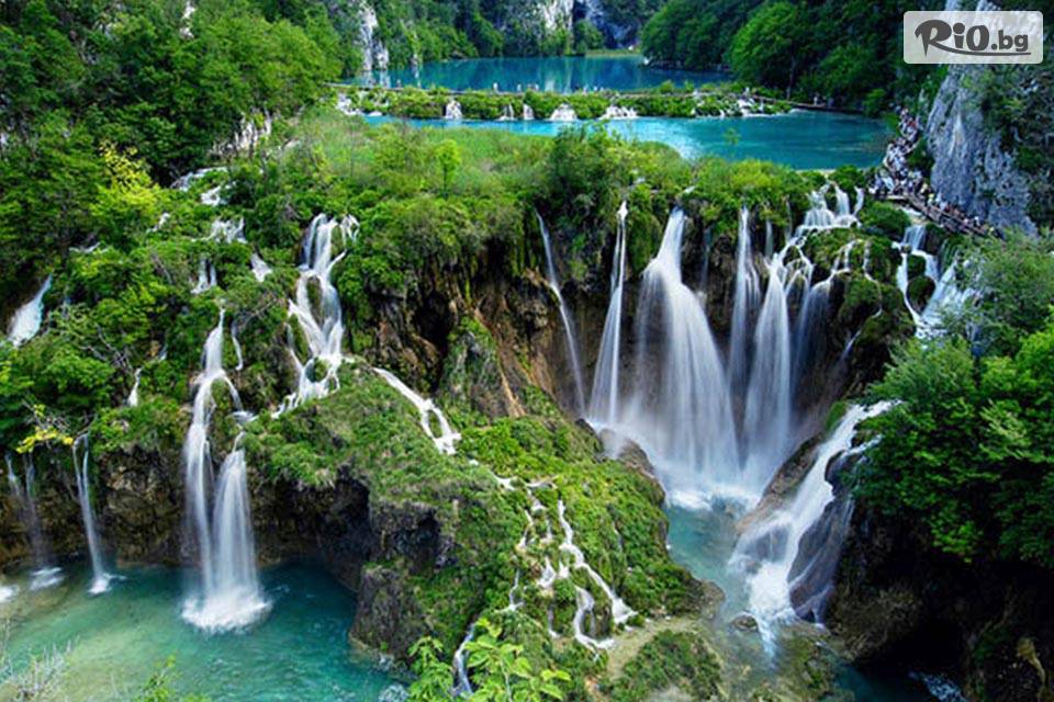 Вени Травел - thumb 4 Вени Травел - thumb 4