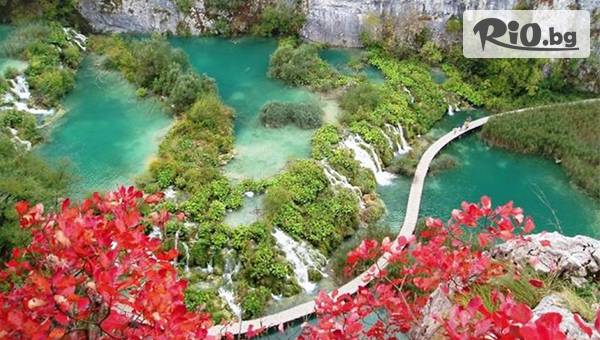 Вени Травел - thumb 4