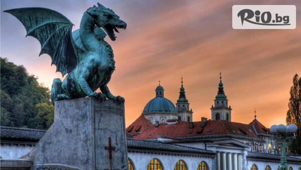 Вени Травел - thumb 8