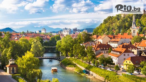 Вени Травел - thumb 7