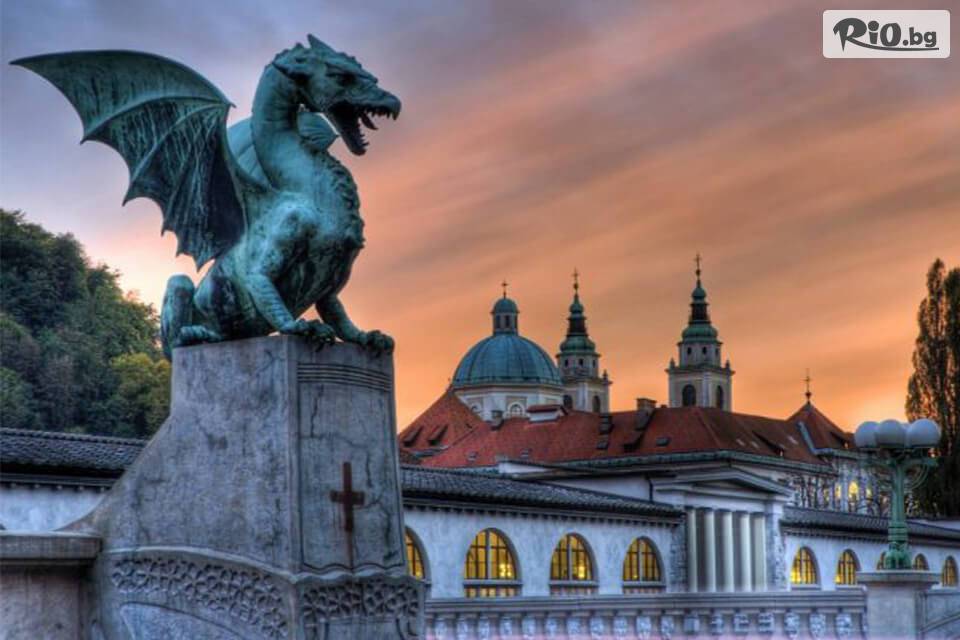 Вени Травел - thumb 8 Вени Травел - thumb 8